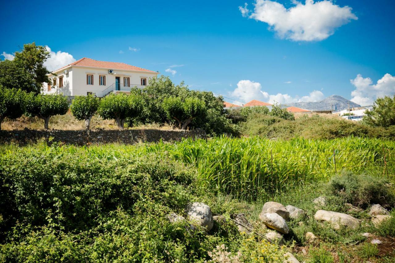Villa Alexandra 키사모스 외부 사진